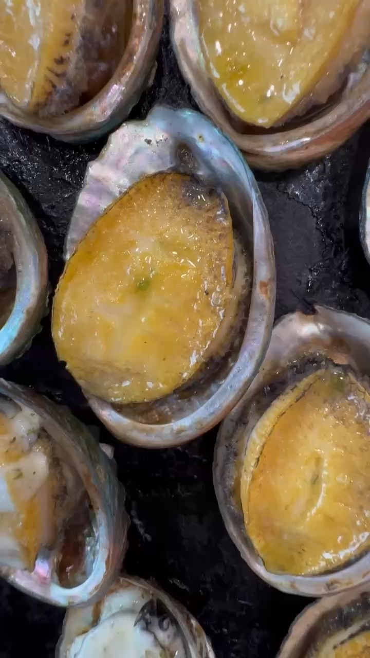 明珍鮑魚 | 去趣 chicTrip