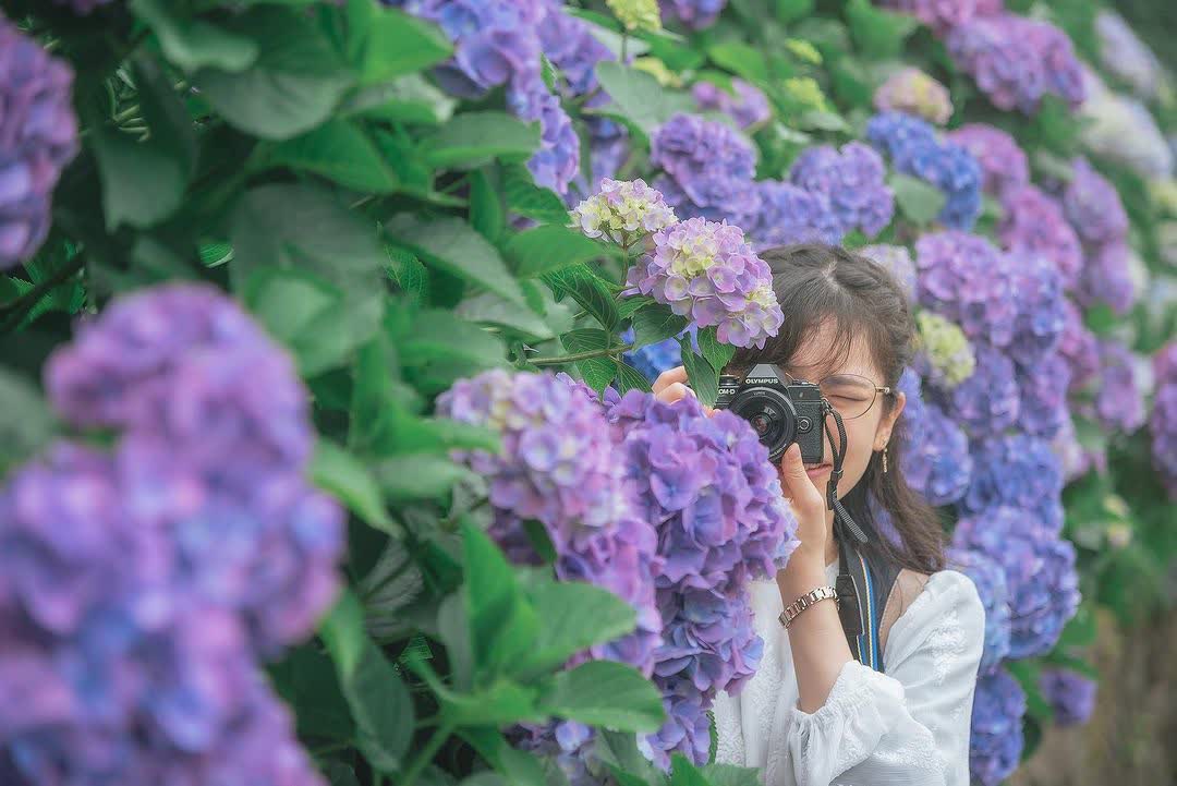 飛鳥山公園 | 去趣 chicTrip