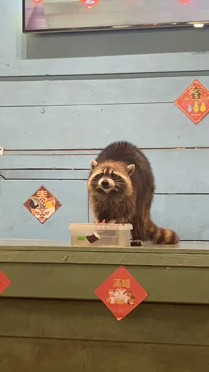 綠世界生態農場 | 去趣 chicTrip