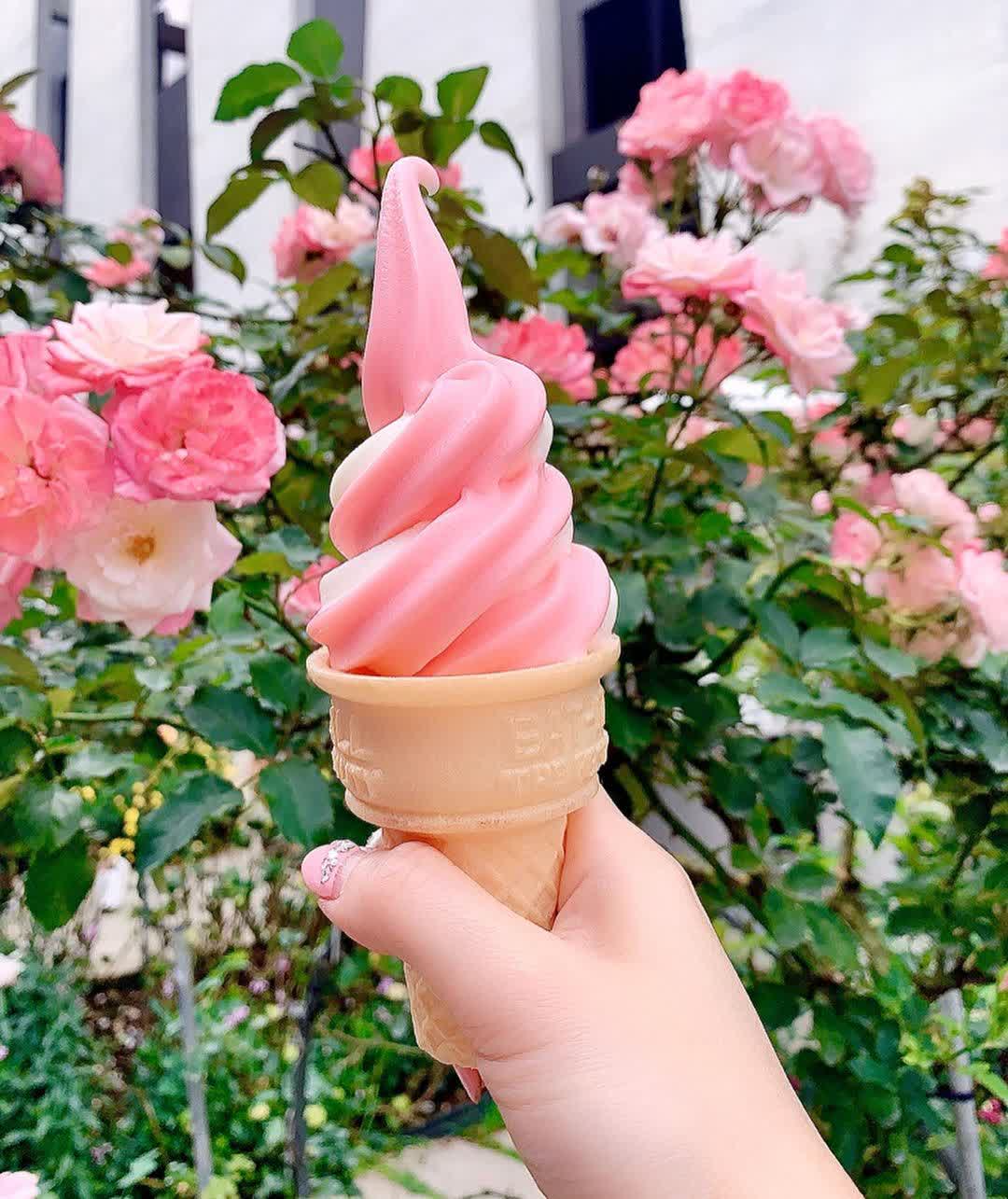 雅聞七里香玫瑰森林 | 去趣 chicTrip