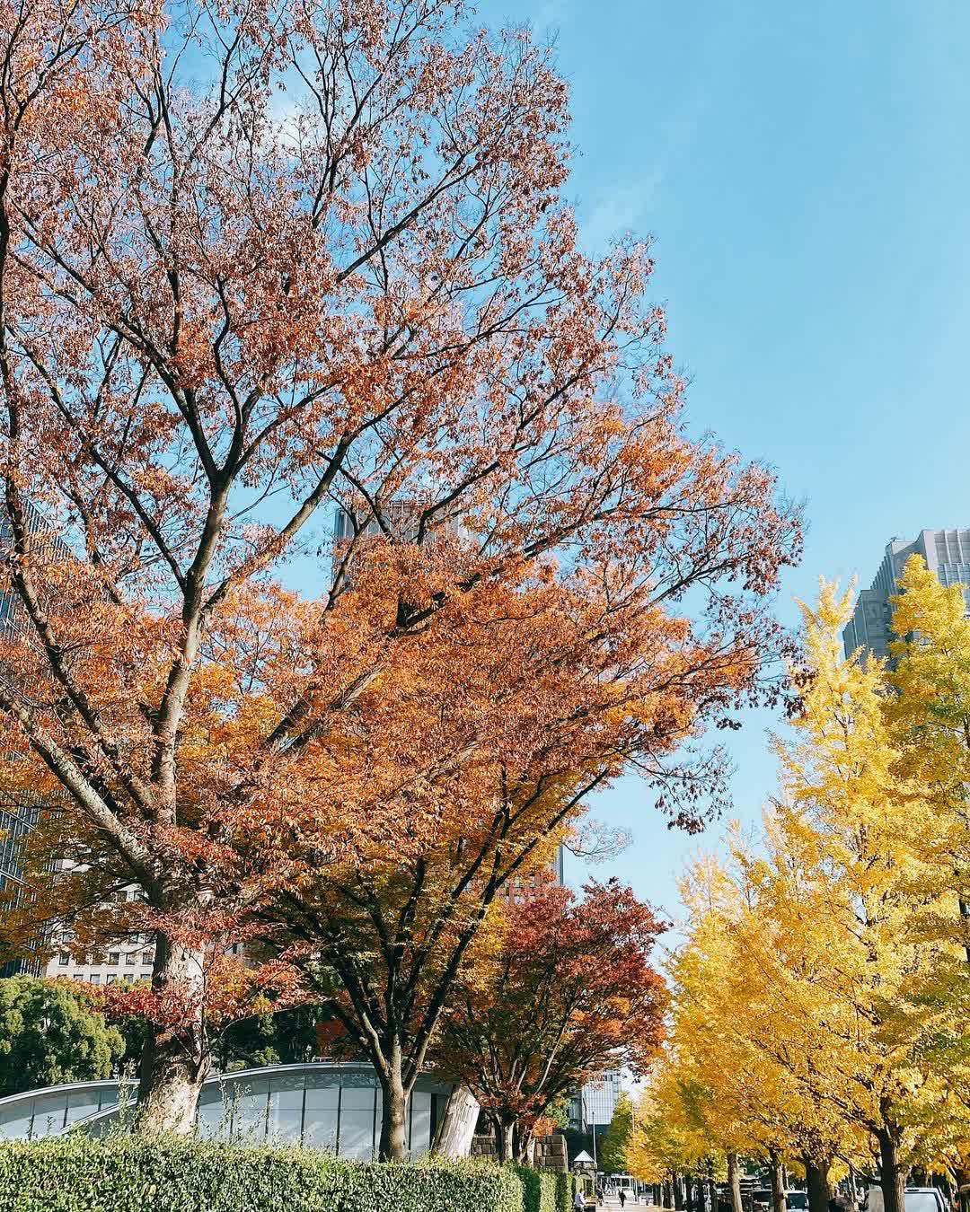 東京車站丸之內站前廣場 | 去趣 chicTrip