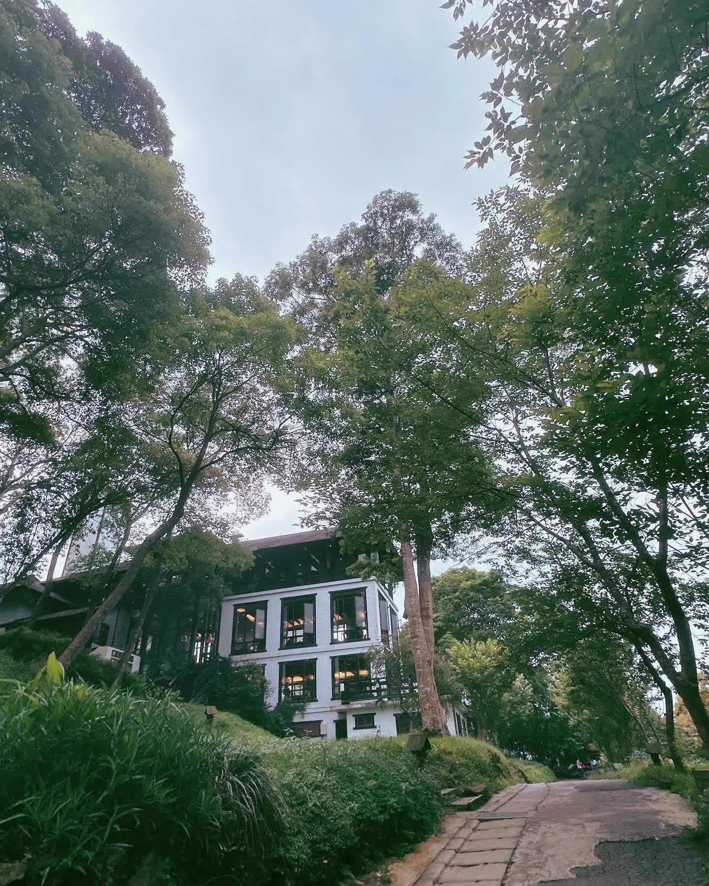 薰衣草森林新竹尖石店 | 去趣 chicTrip