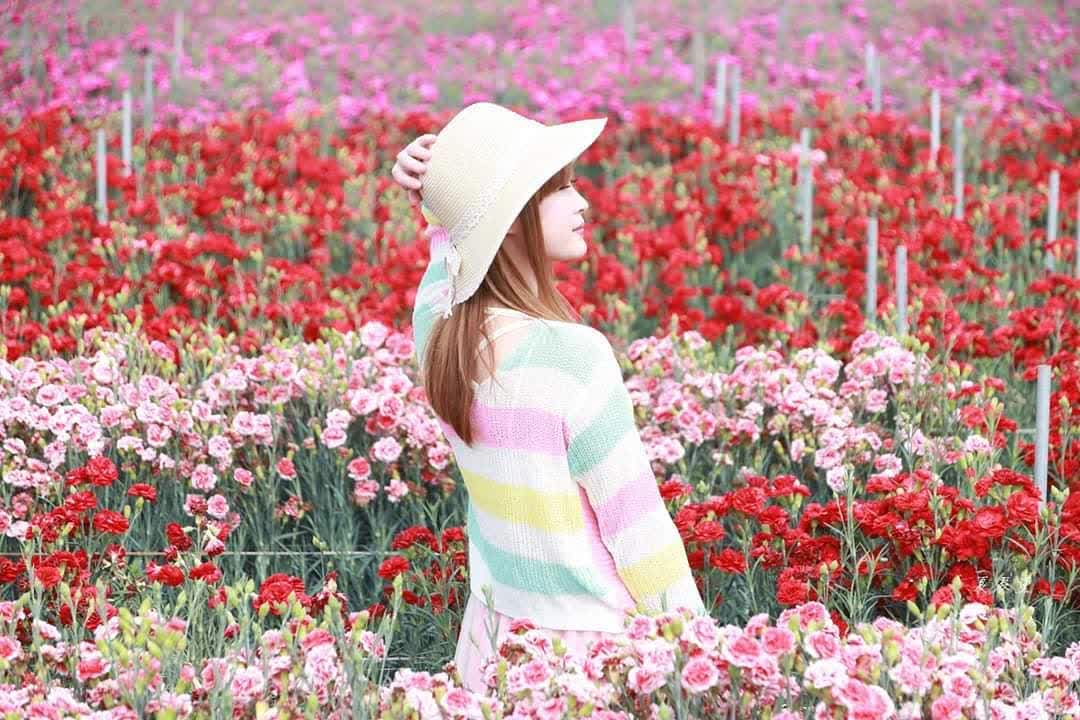 田尾公路花園 | 去趣 chicTrip