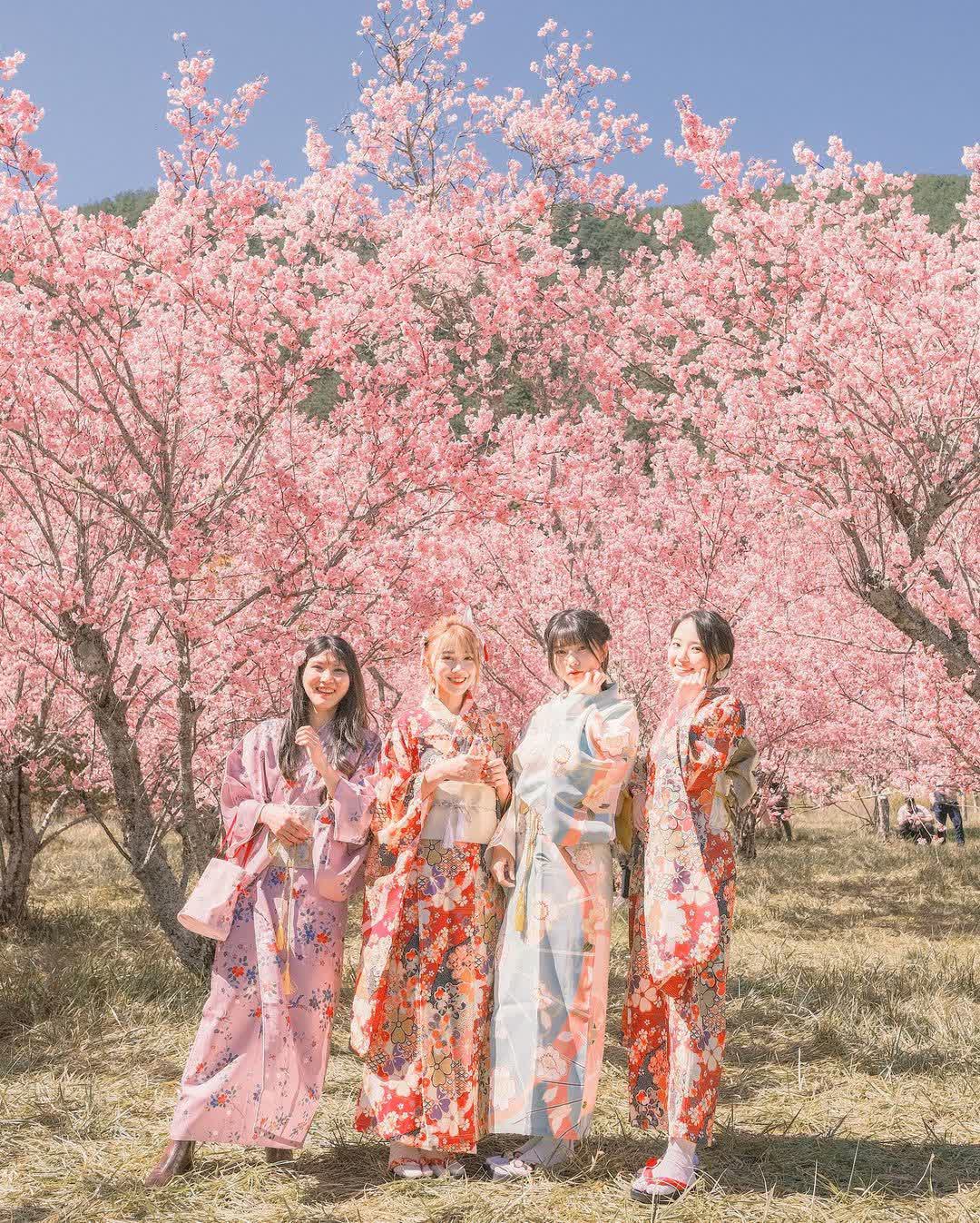 武陵農場 | 去趣 chicTrip