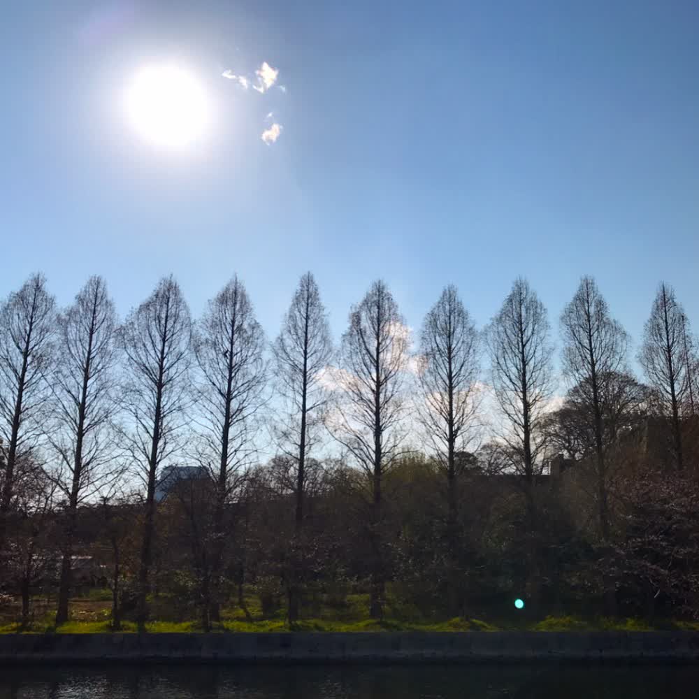 大阪城公園 | 去趣 chicTrip