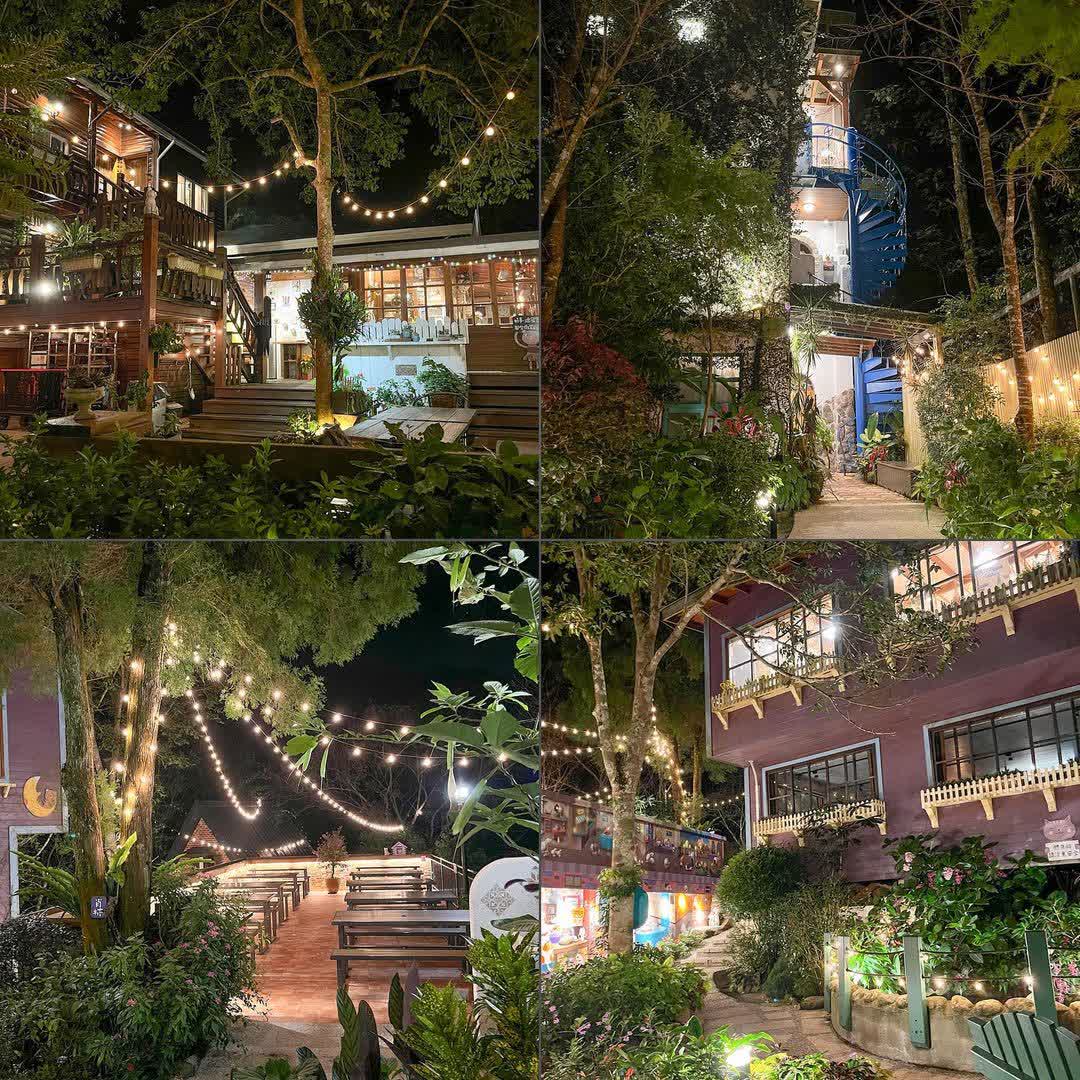 南庄橄欖樹 | 咖啡廳 ‧ 民宿 | Olive Tree Guesthouse & Café | 去趣 chicTrip