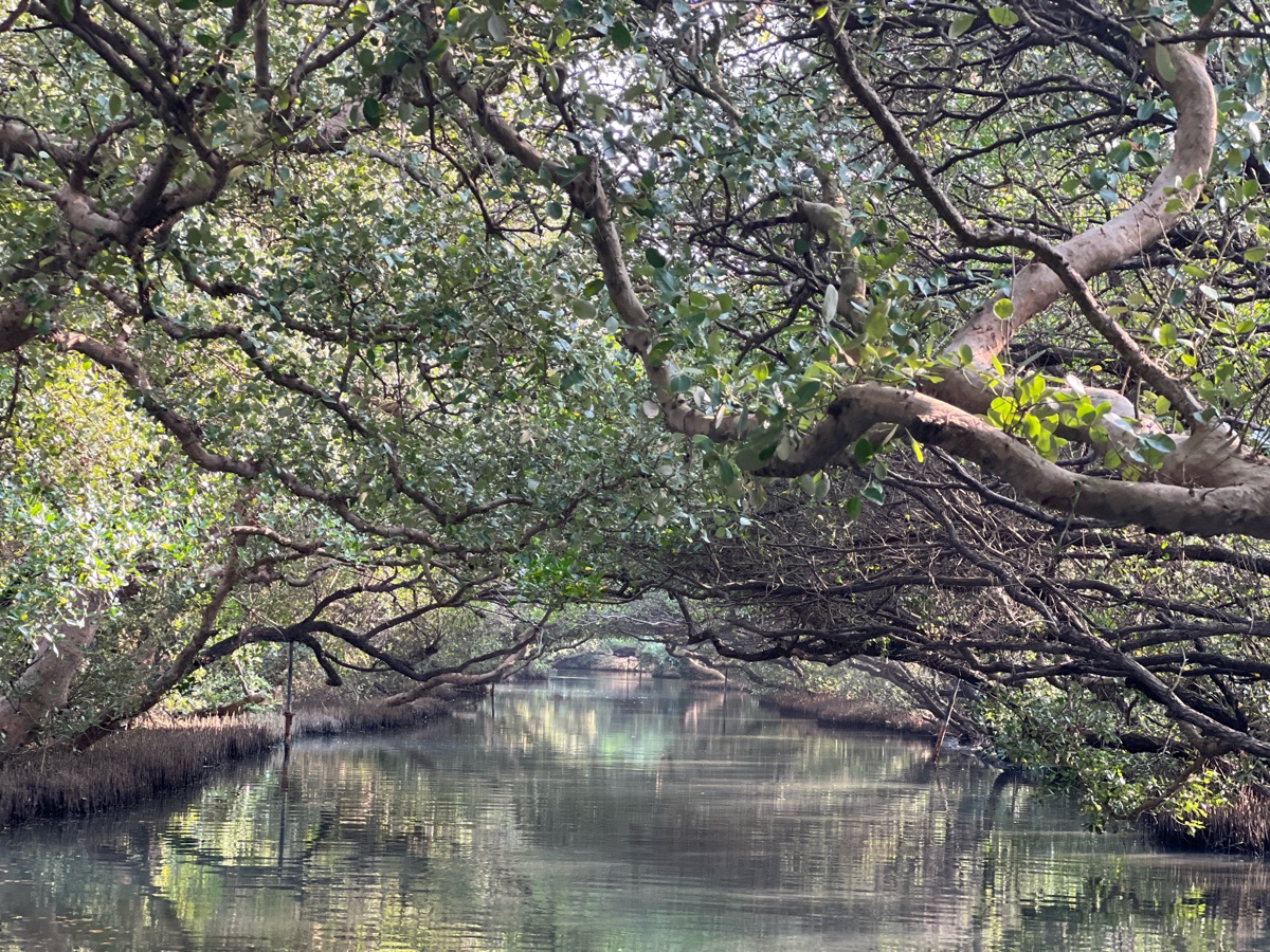 四草綠色隧道 | 去趣 chicTrip