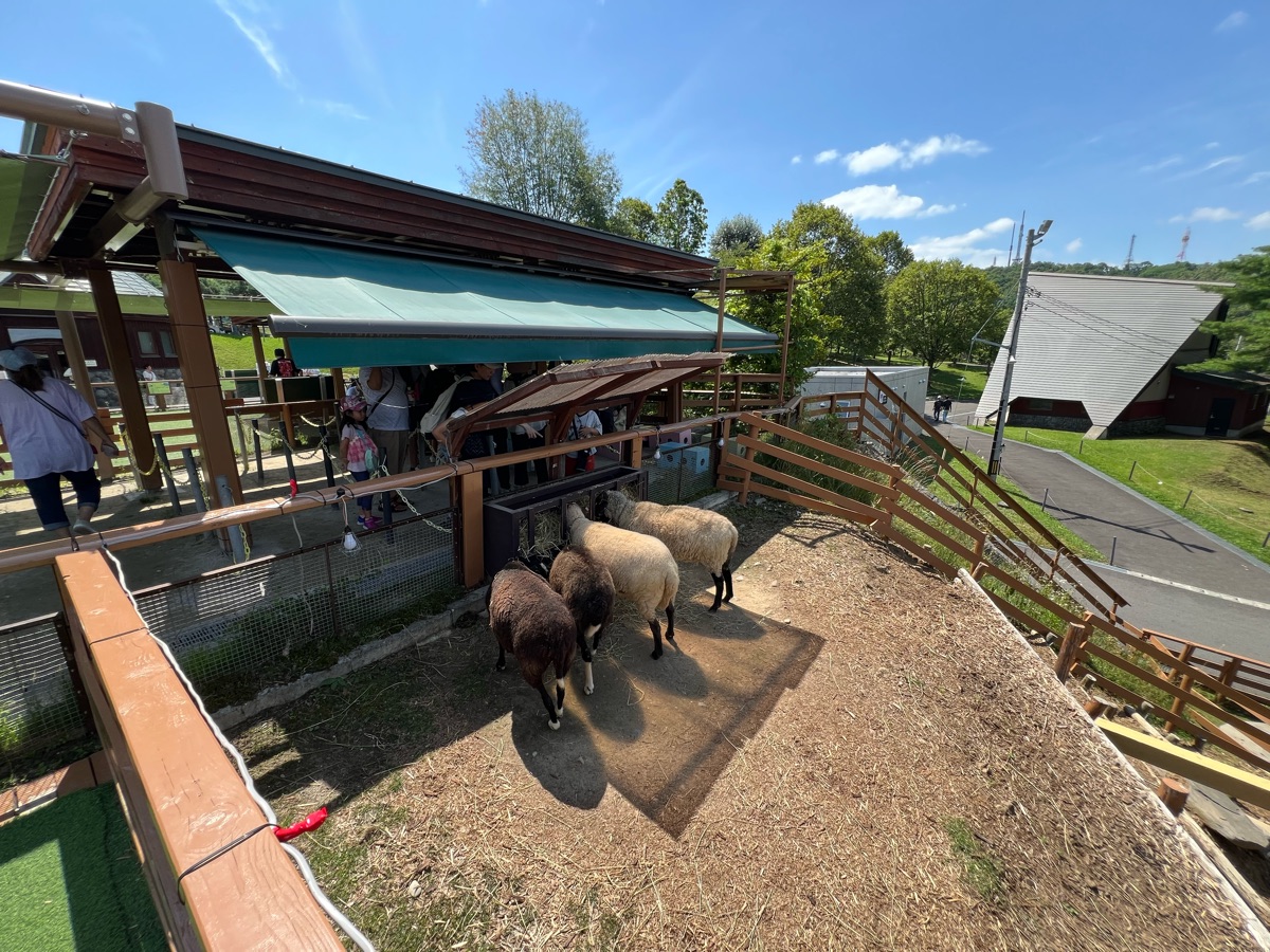 旭山動物園 | 去趣 chicTrip