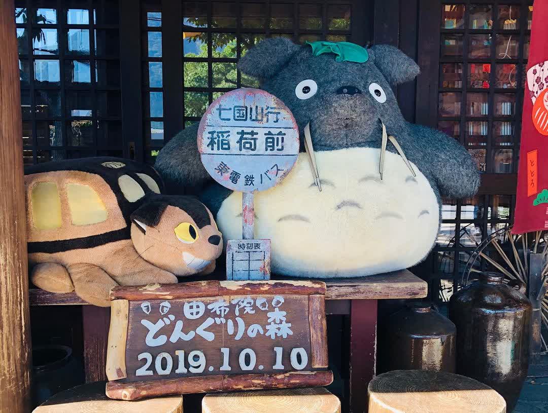 Donguri No Mori | 去趣 chicTrip