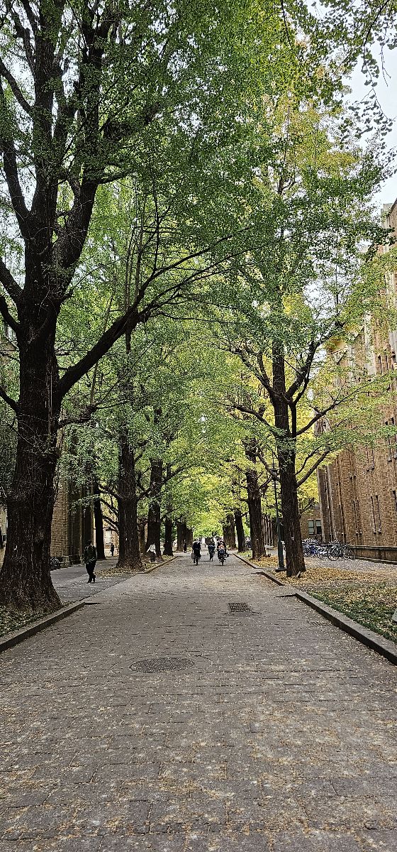 東京大學 | 去趣 chicTrip