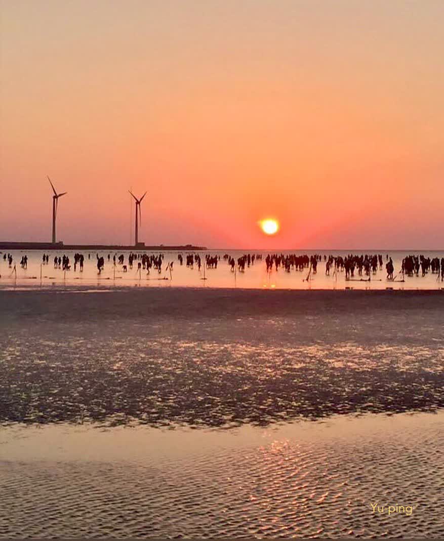 高美濕地 | 去趣 chicTrip