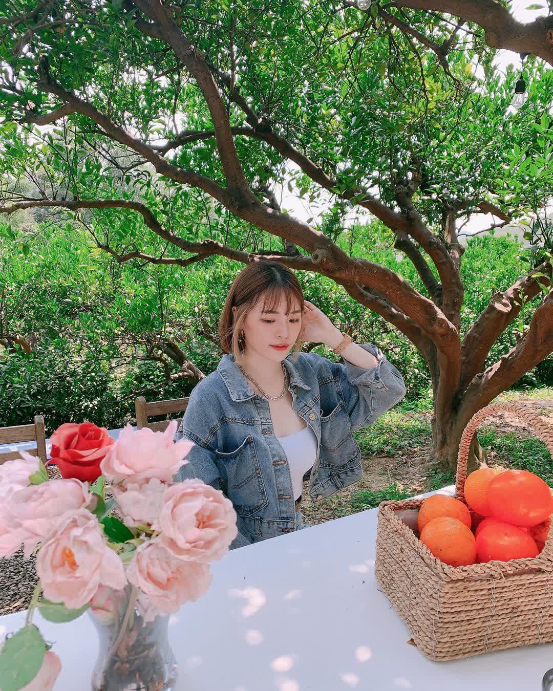 橙香森林 | 去趣 chicTrip