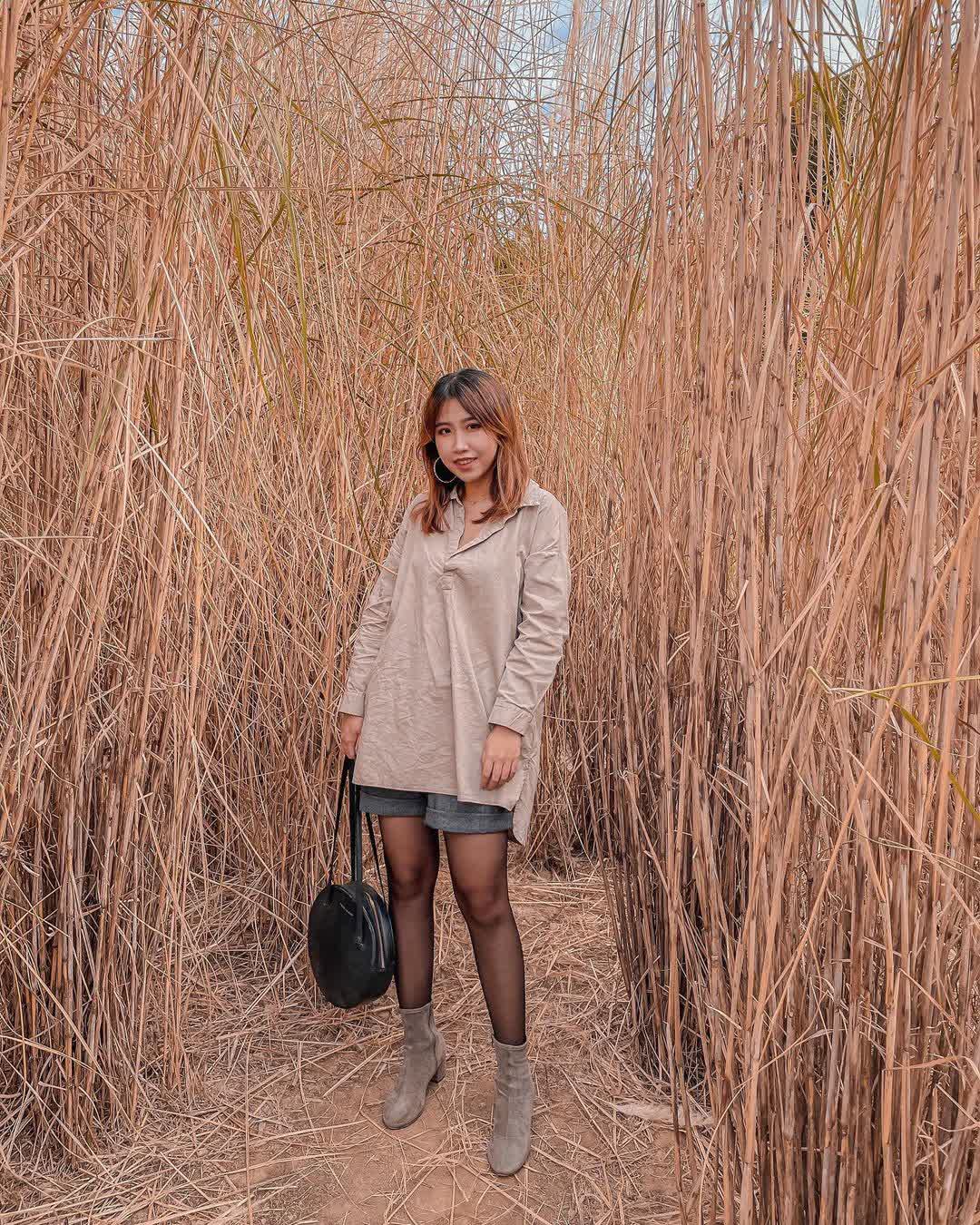 臺中中央公園 | 去趣 chicTrip