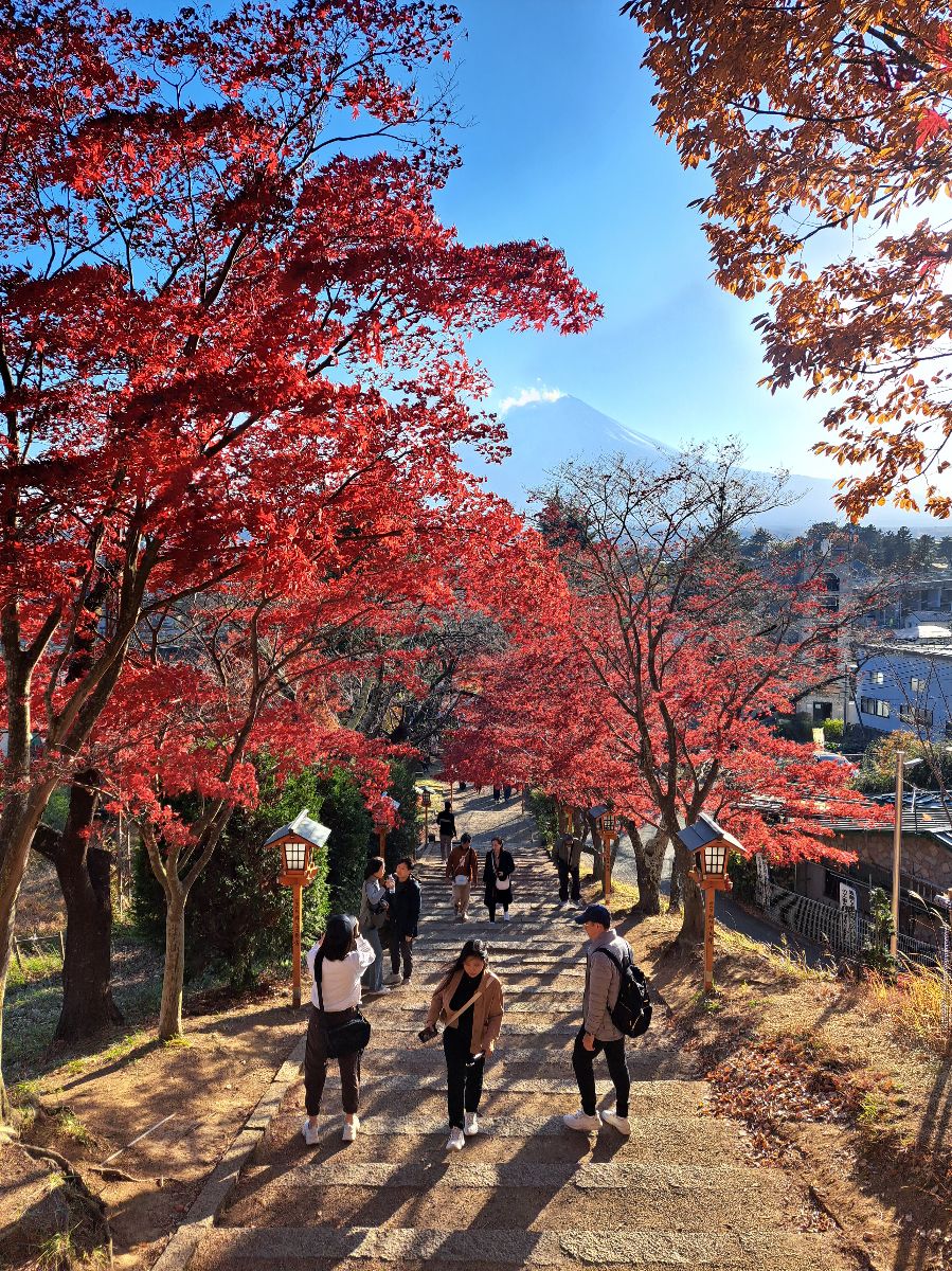 新倉山淺間公園 | 去趣 chicTrip