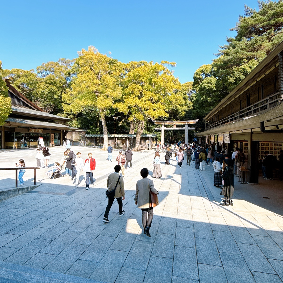 明治神宮 | 去趣 chicTrip