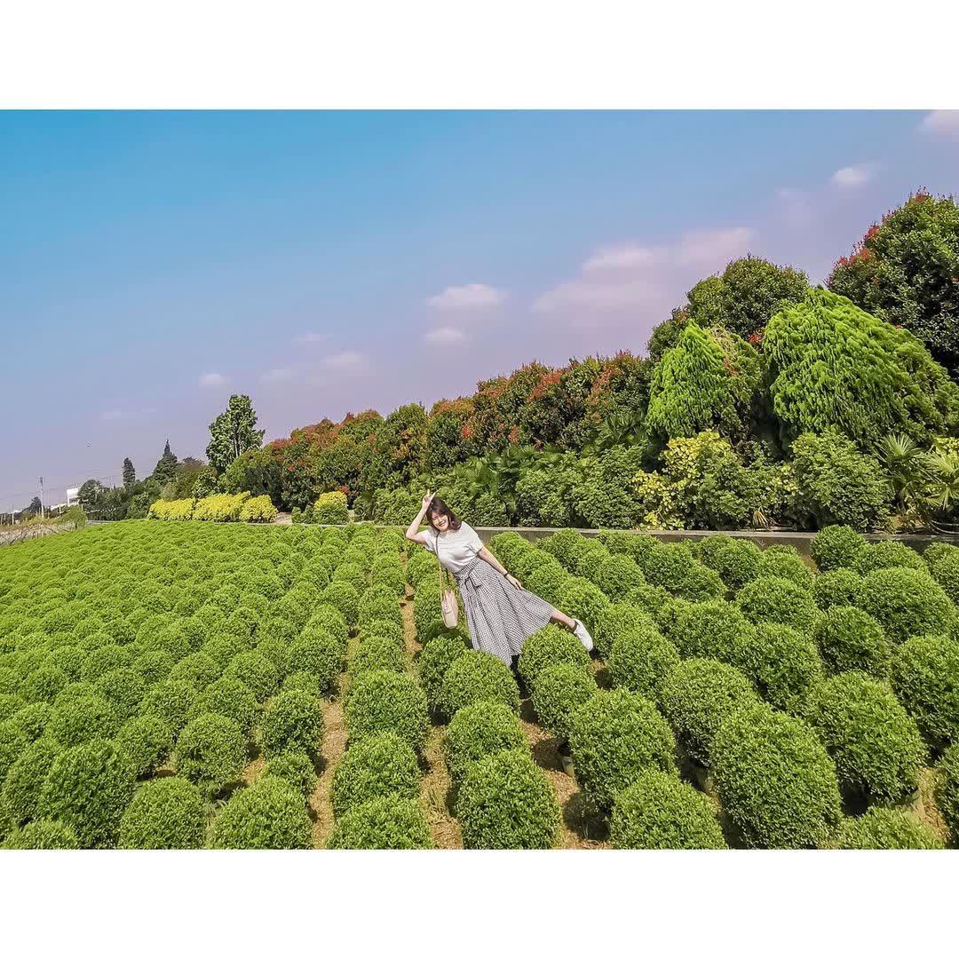 田尾公路花園 | 去趣 chicTrip