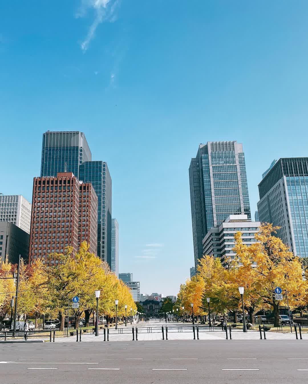 東京車站丸之內站前廣場 | 去趣 chicTrip