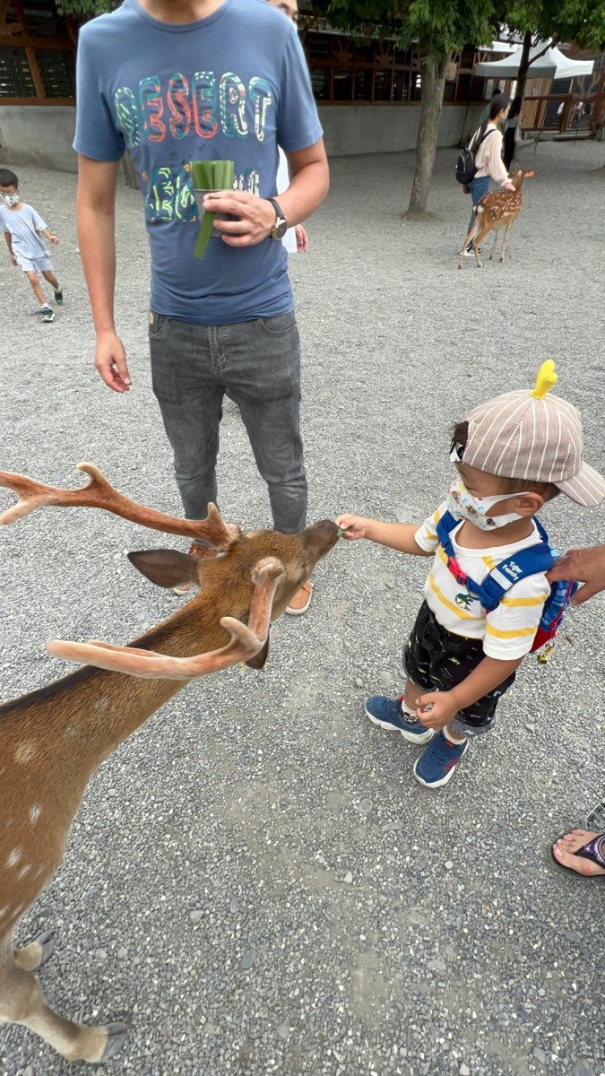 宜蘭-斑比山丘 | 去趣 chicTrip