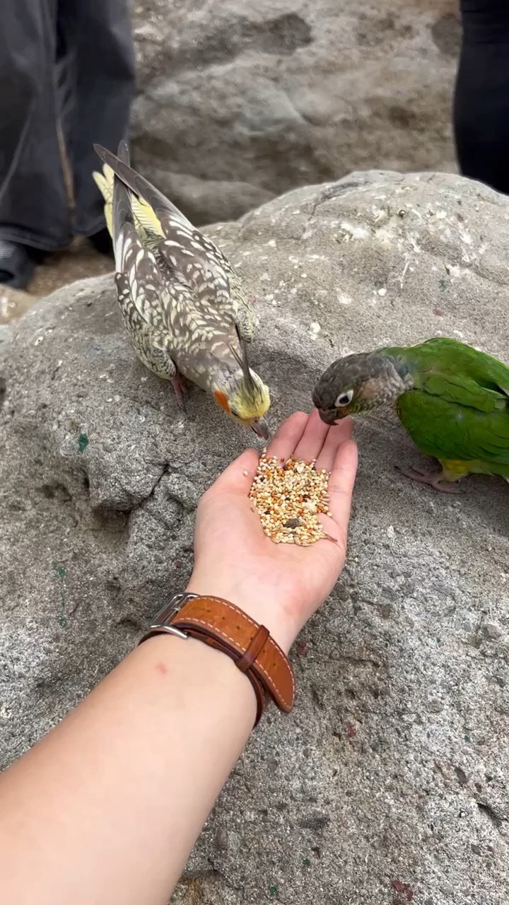 PUGAD Pugo Adventure | 去趣 chicTrip