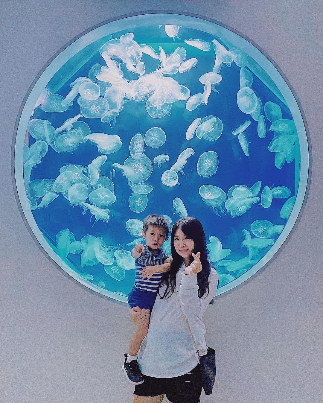 Xpark 水族館 | 去趣 chicTrip