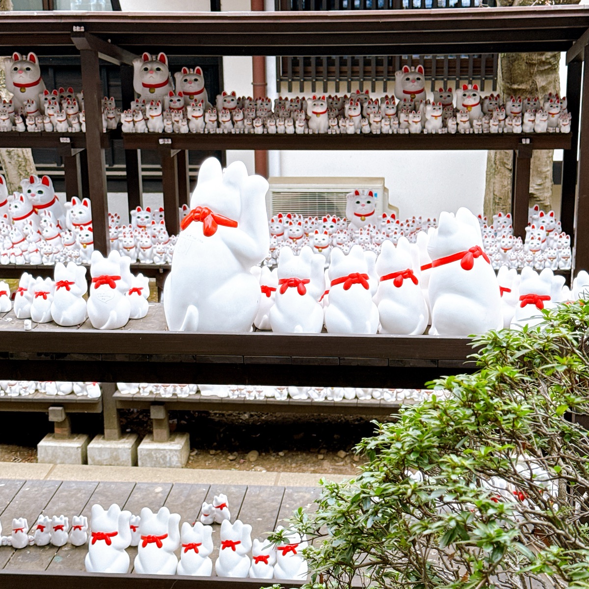 世田谷 豪德寺 | 去趣 chicTrip