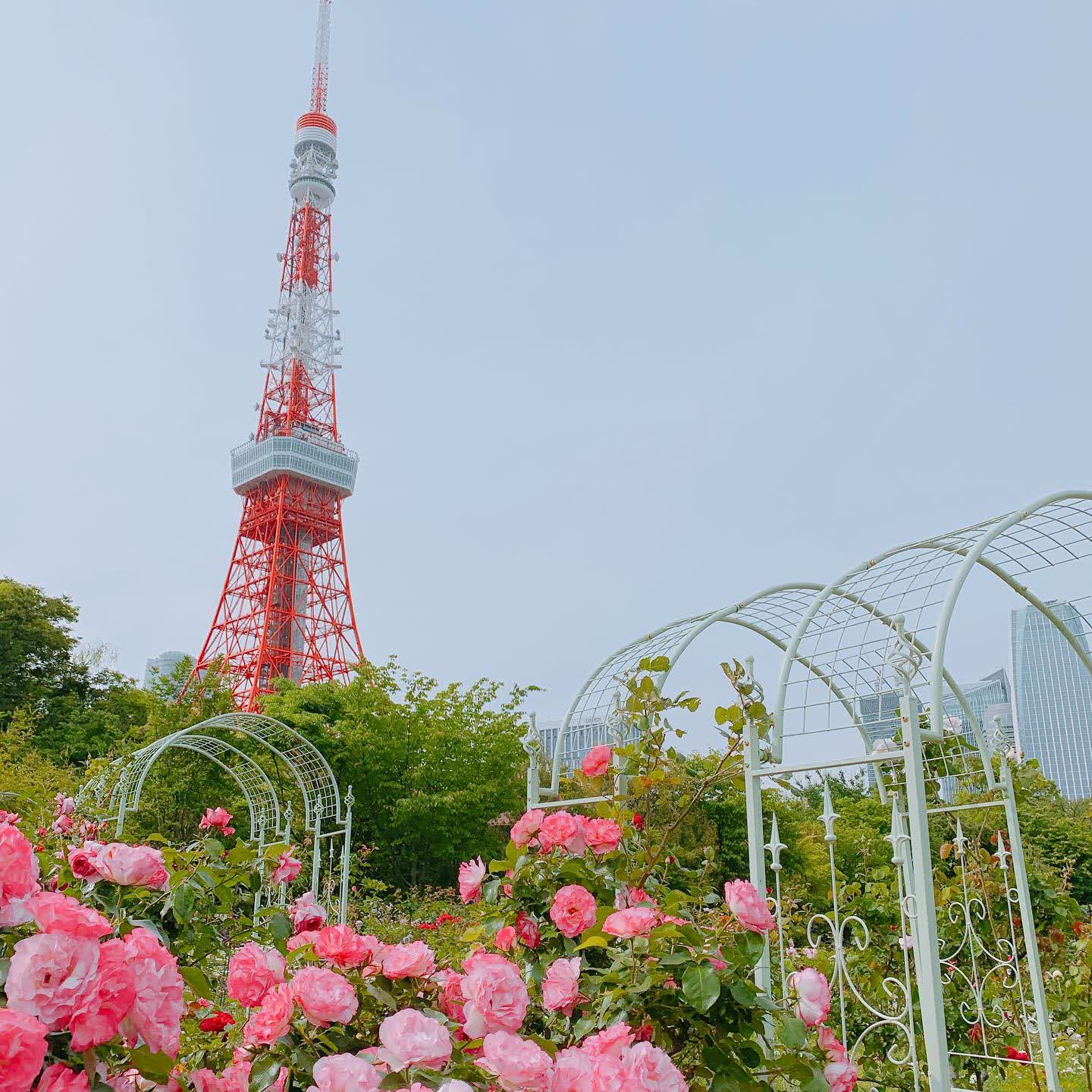 Shiba Park | 去趣 chicTrip