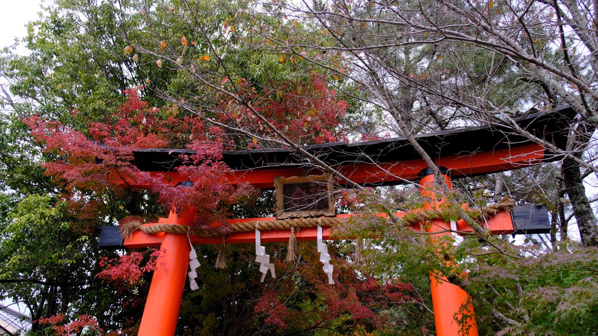 宇治上神社 | 去趣 chicTrip