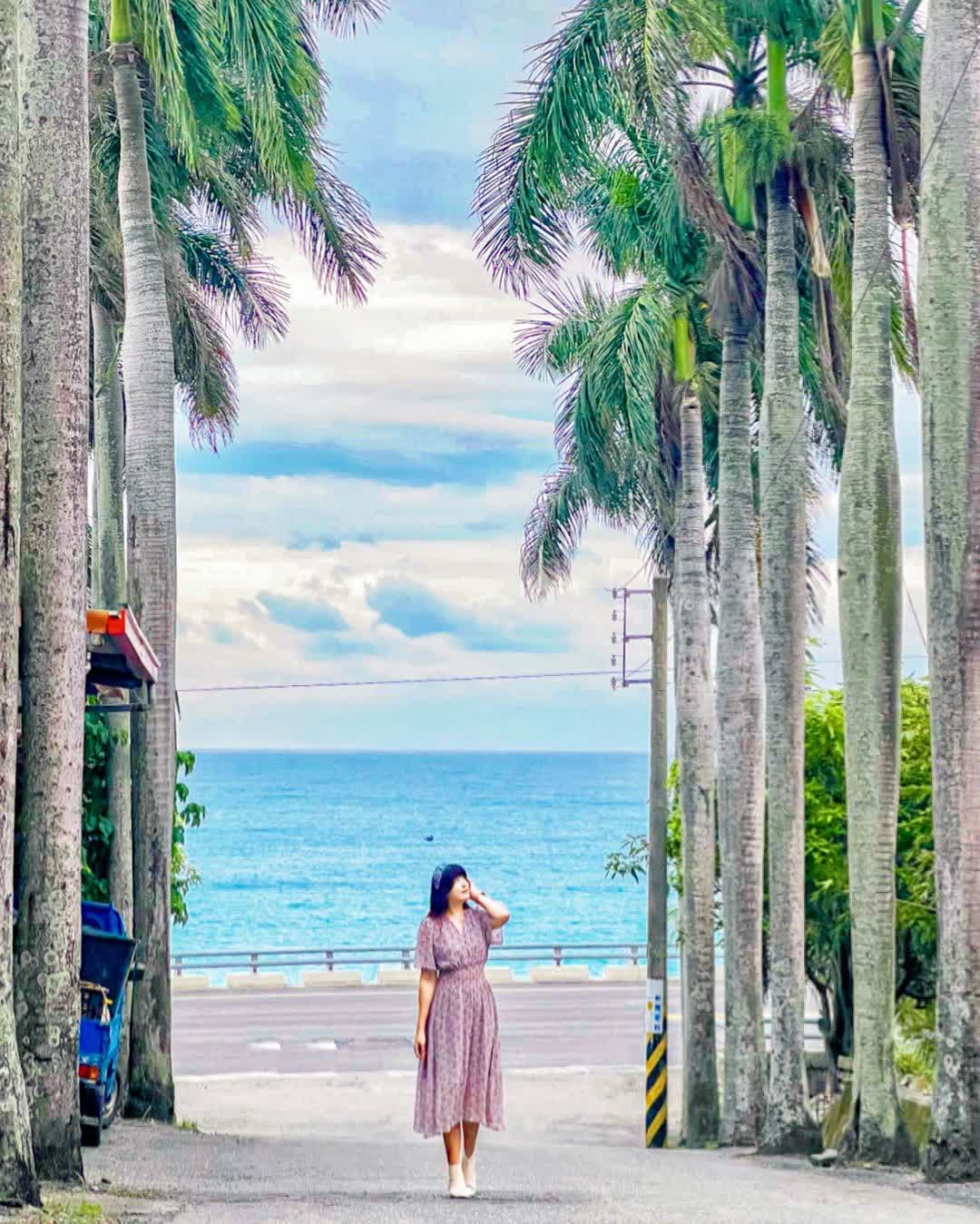 華源椰林大道 | 去趣 chicTrip
