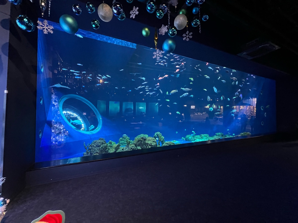 DMM Kariyushi水族館 | 去趣 chicTrip