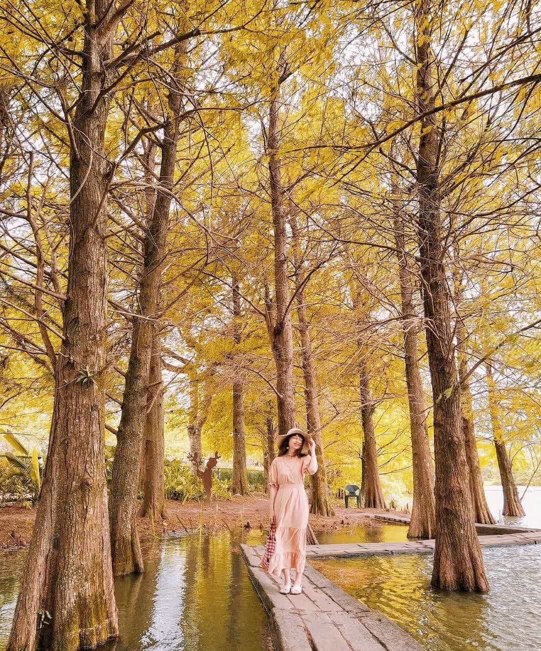 花蓮雲山水夢幻湖 | 去趣 chicTrip