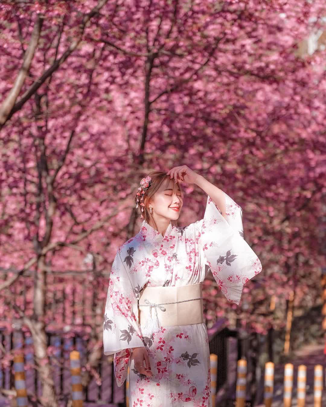 司馬庫斯 | 去趣 chicTrip