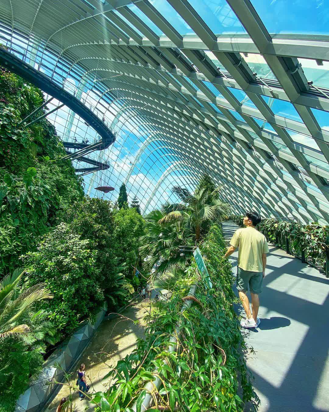 雲霧林 | 去趣 chicTrip