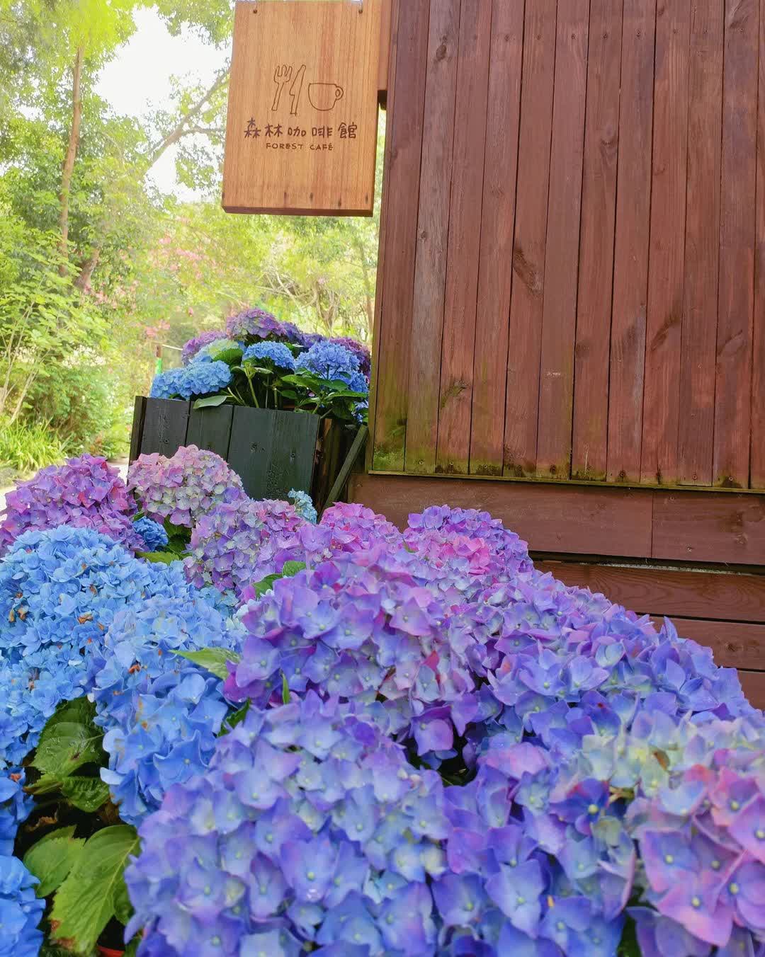 薰衣草森林台中新社店 | 去趣 chicTrip