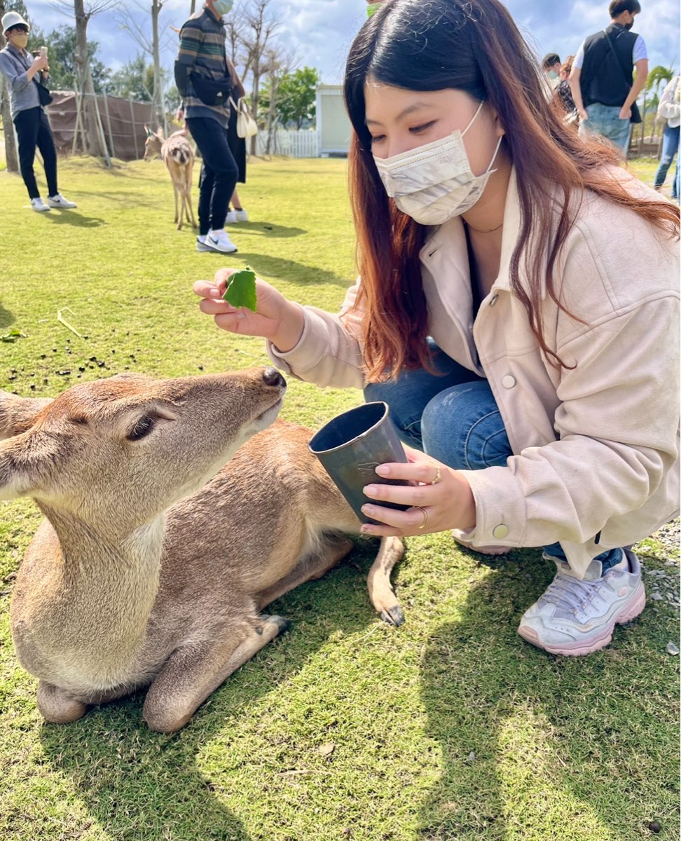 鹿境梅花鹿生態園區丨門票消費最高折抵140丨梅花鹿、水豚互動餵食丨室內親子DIY區丨親子遊戲區丨甜鹹輕食霜淇淋供應丨超可愛獨家紀念品丨奶茶、咖啡好喝 | 去趣 chicTrip