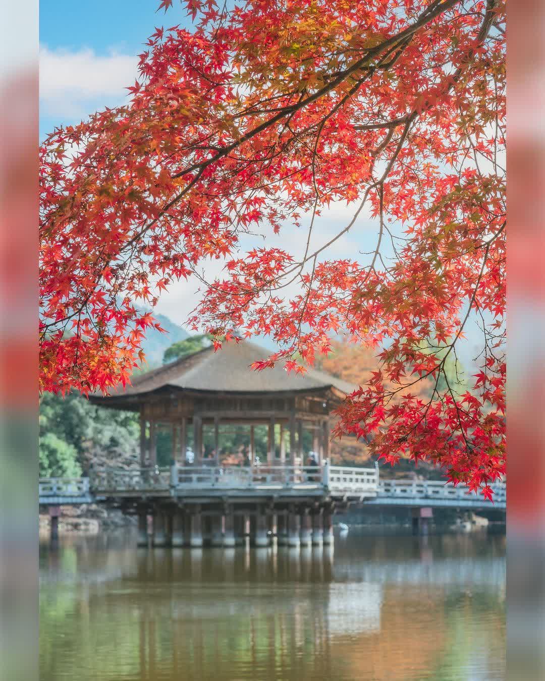浮見堂 | 去趣 chicTrip