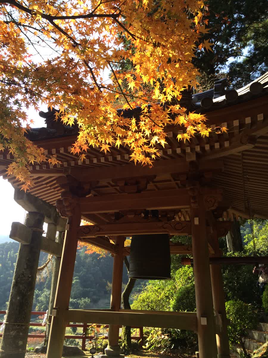 大興善寺 | 去趣 chicTrip