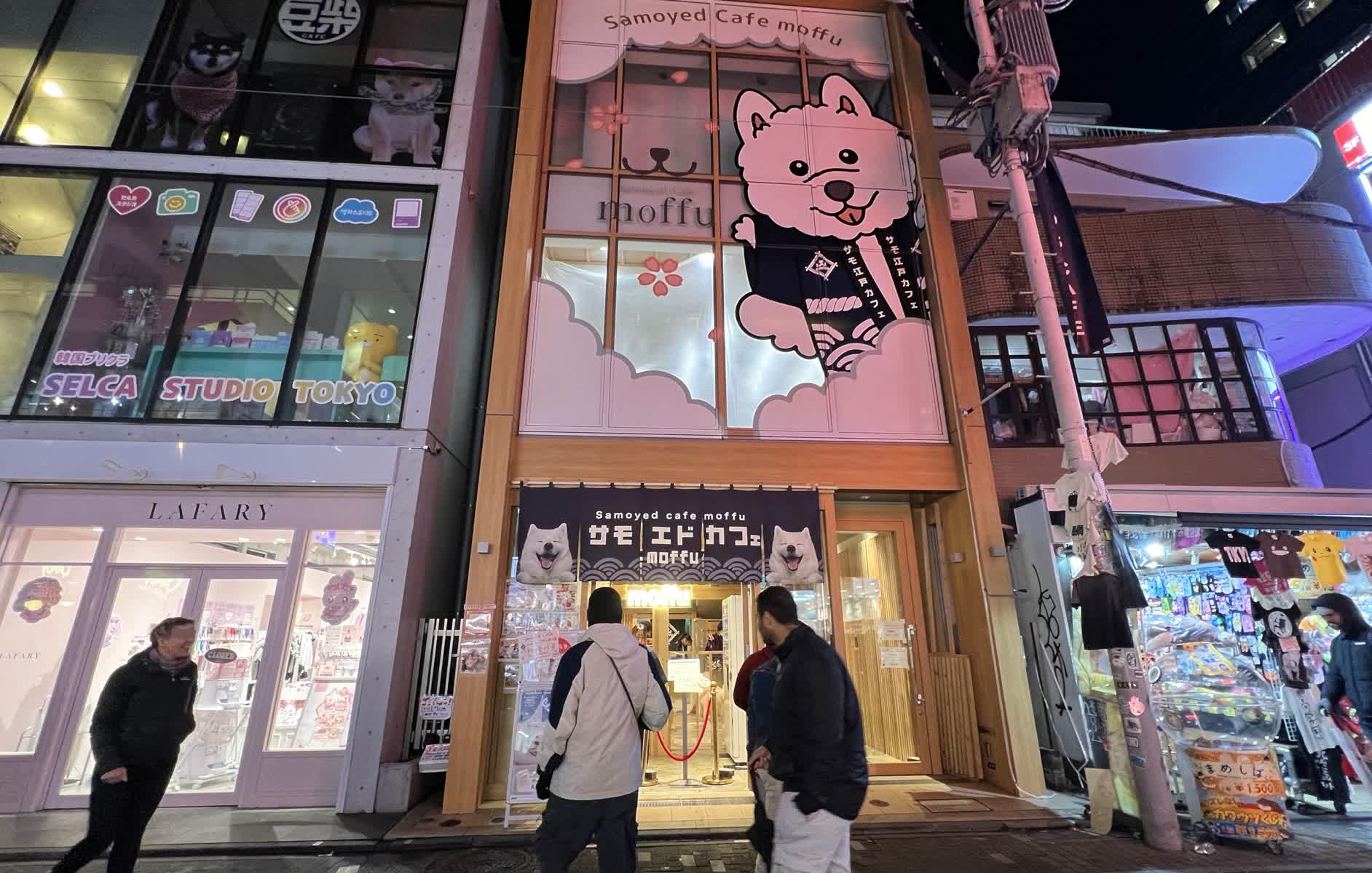 薩摩耶咖啡Moffu竹下街店 | 去趣 chicTrip