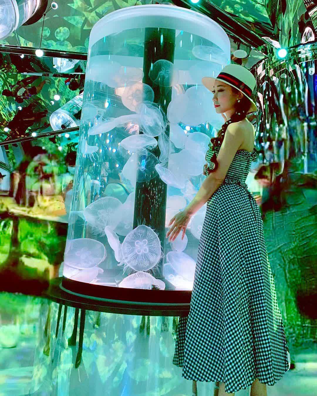 Xpark 水族館 | 去趣 chicTrip