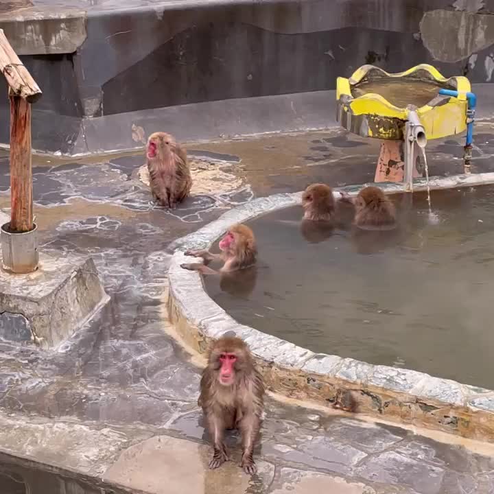 函館市熱帶植物園 | 去趣 chicTrip