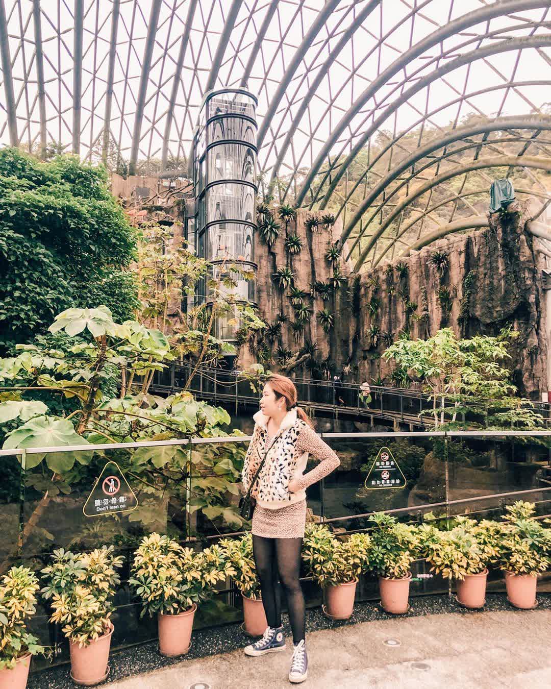 臺北市立動物園 | 去趣 chicTrip