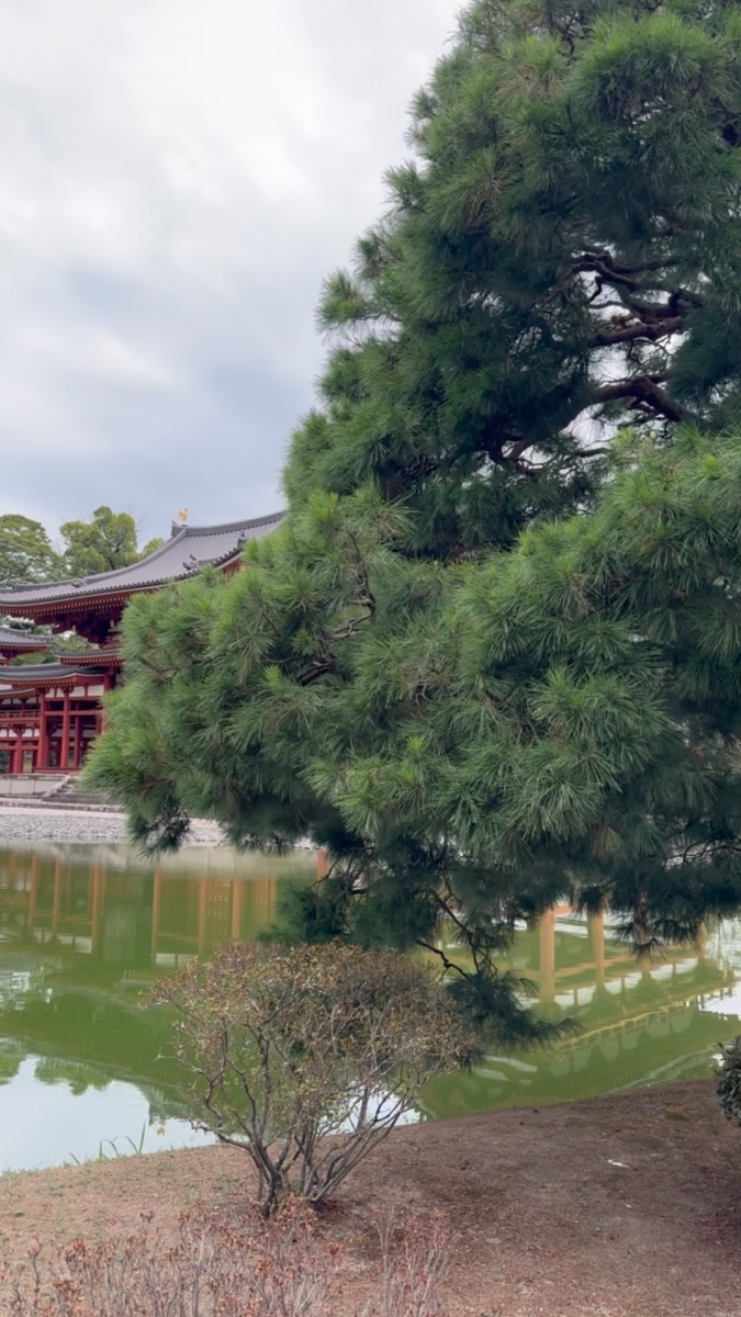 平等院 | 去趣 chicTrip