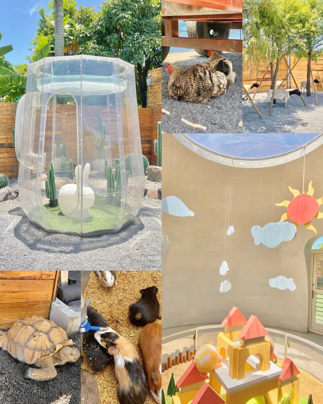 回巢農場 | 去趣 chicTrip