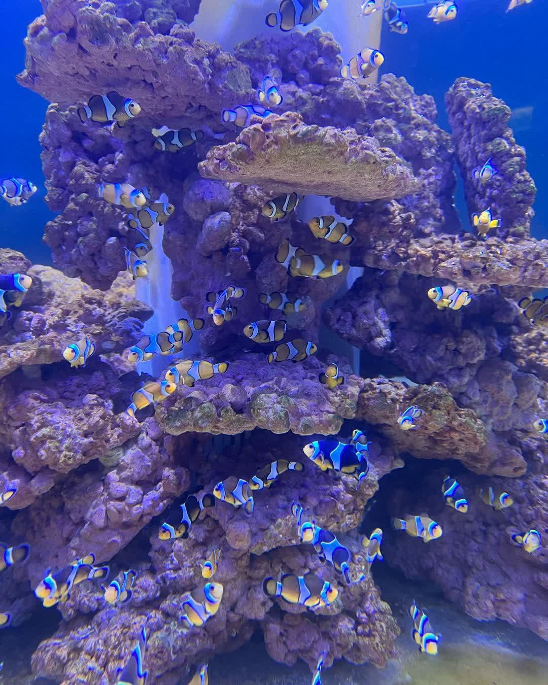 潮境公園 | 去趣 chicTrip