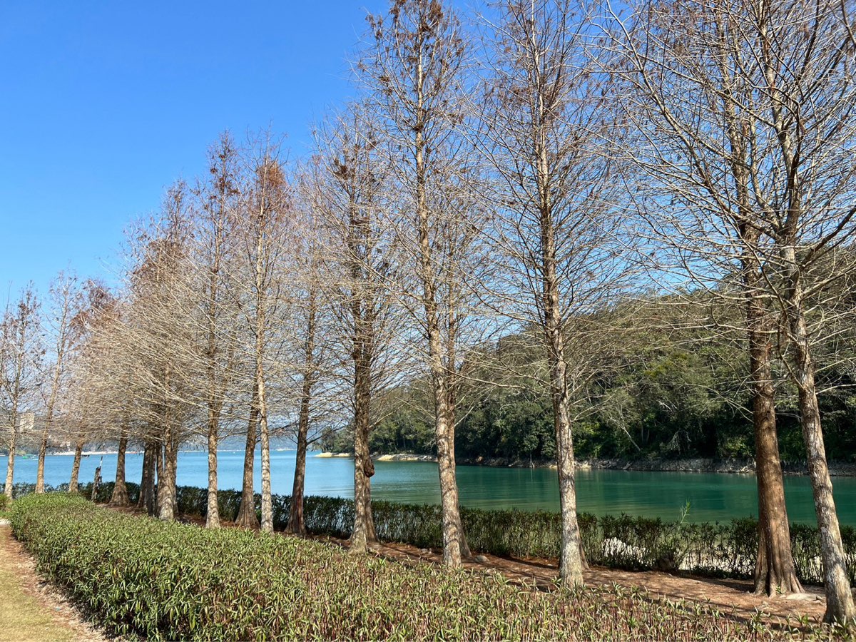 向山行政暨遊客中心 | 去趣 chicTrip