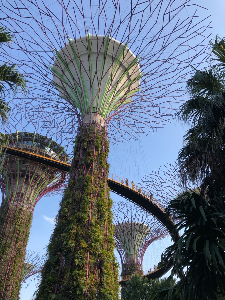 濱海灣花園 | 去趣 chicTrip