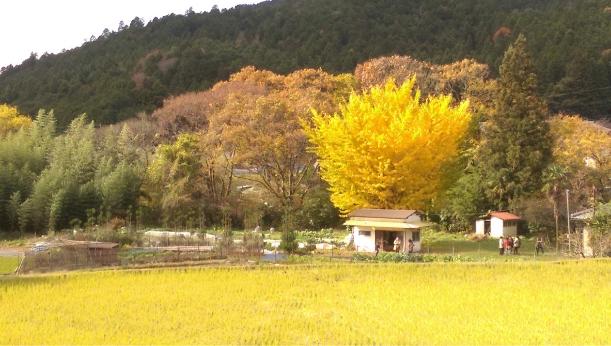 三千院 | 去趣 chicTrip