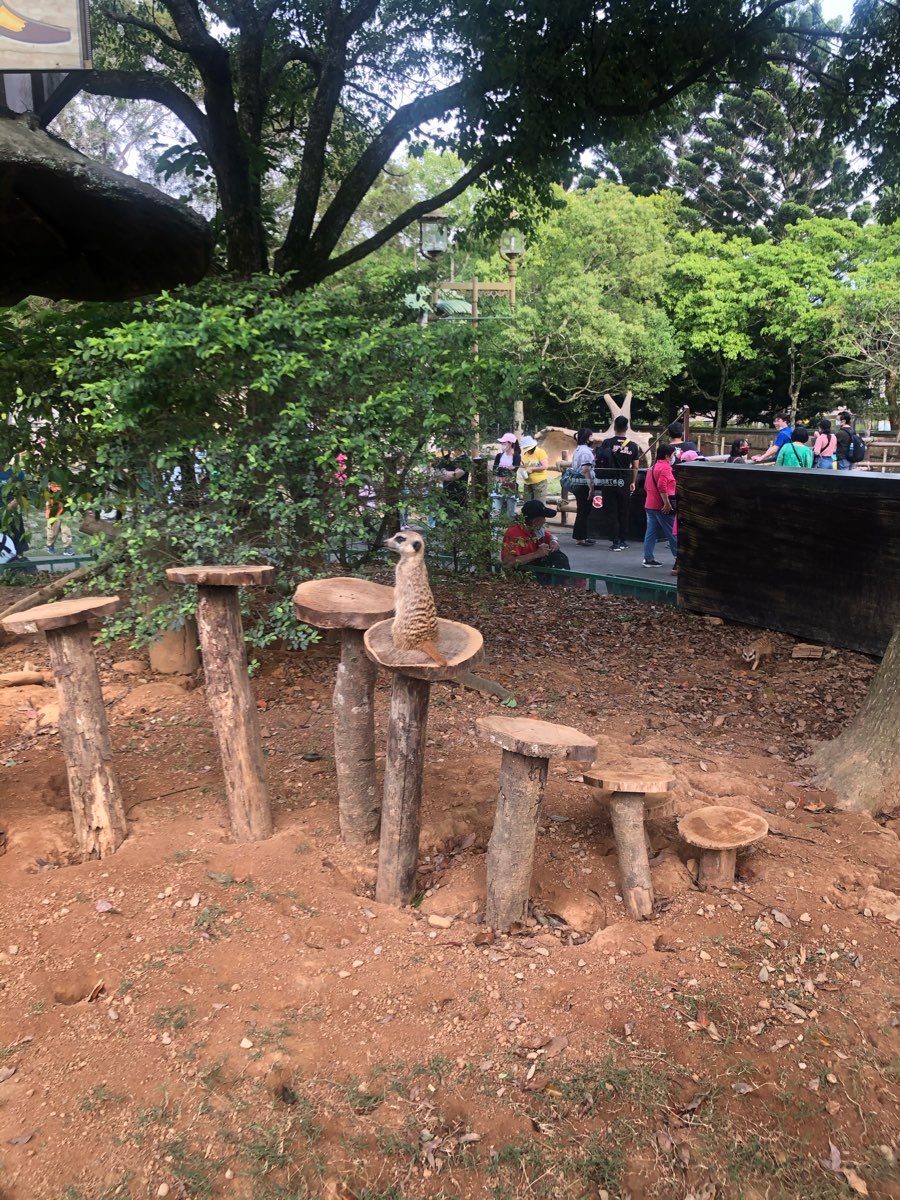 六福村主題遊樂園 | 去趣 chicTrip