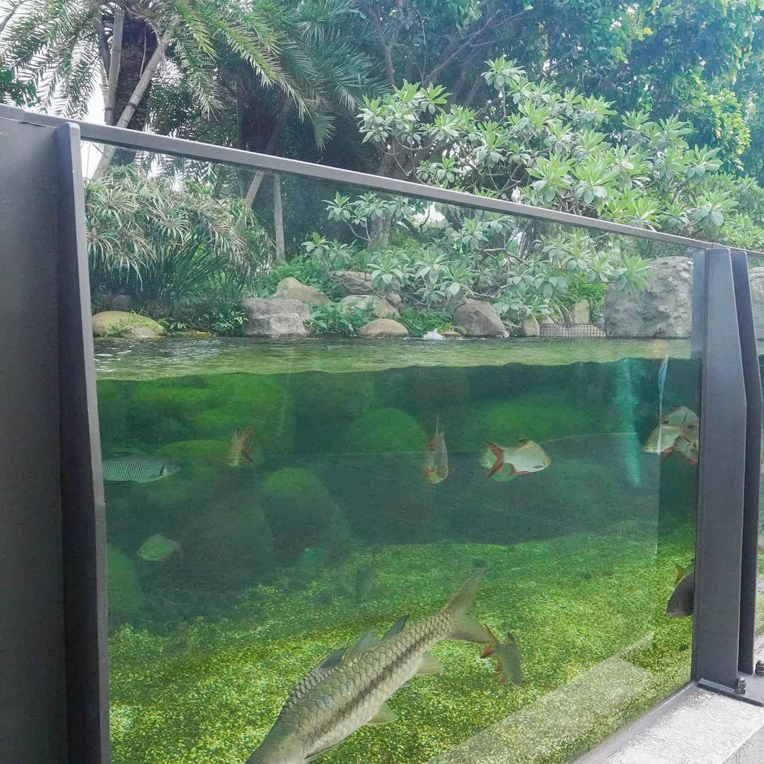 Xpark 水族館 | 去趣 chicTrip