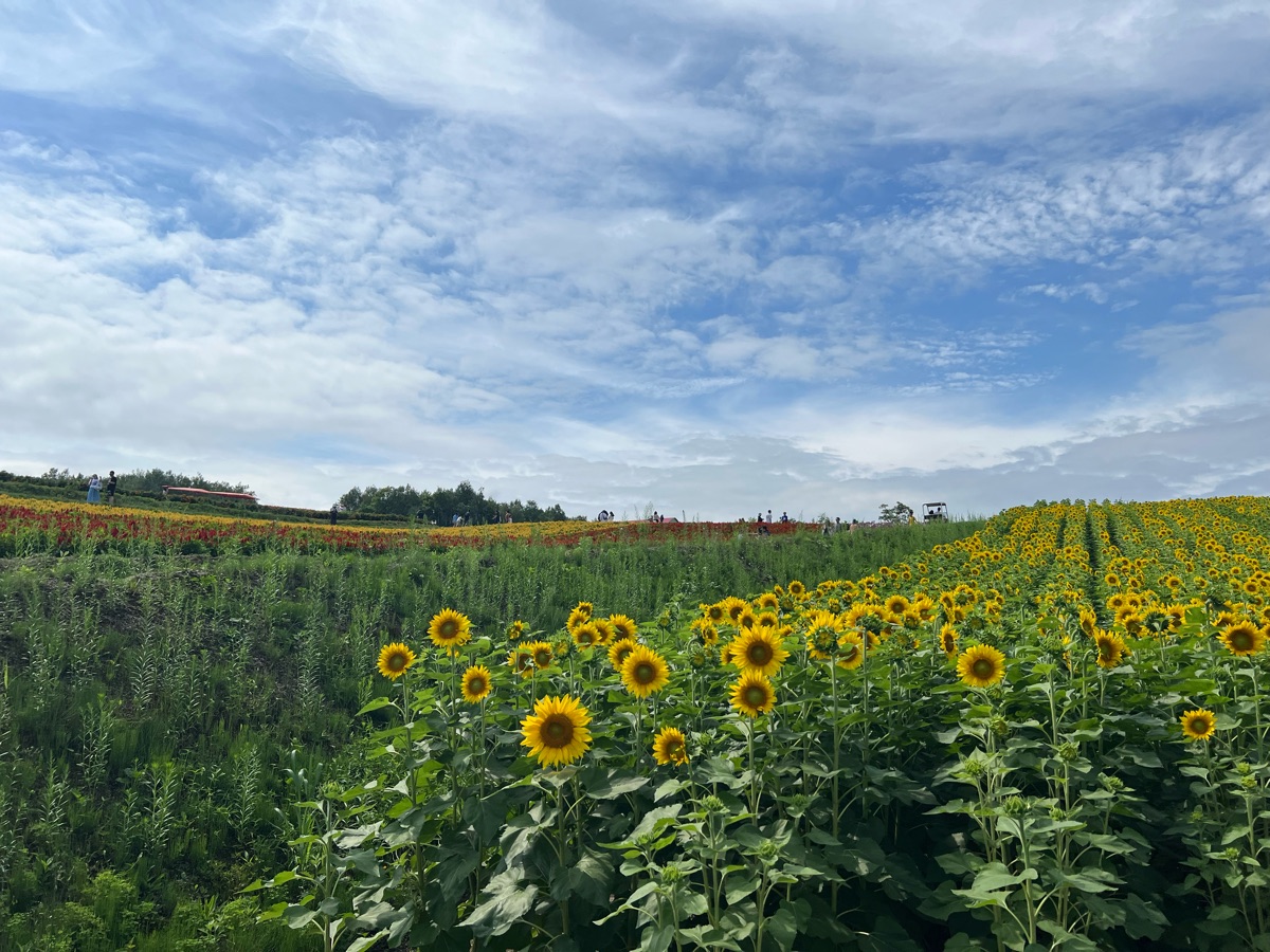 四季彩之丘 | 去趣 chicTrip