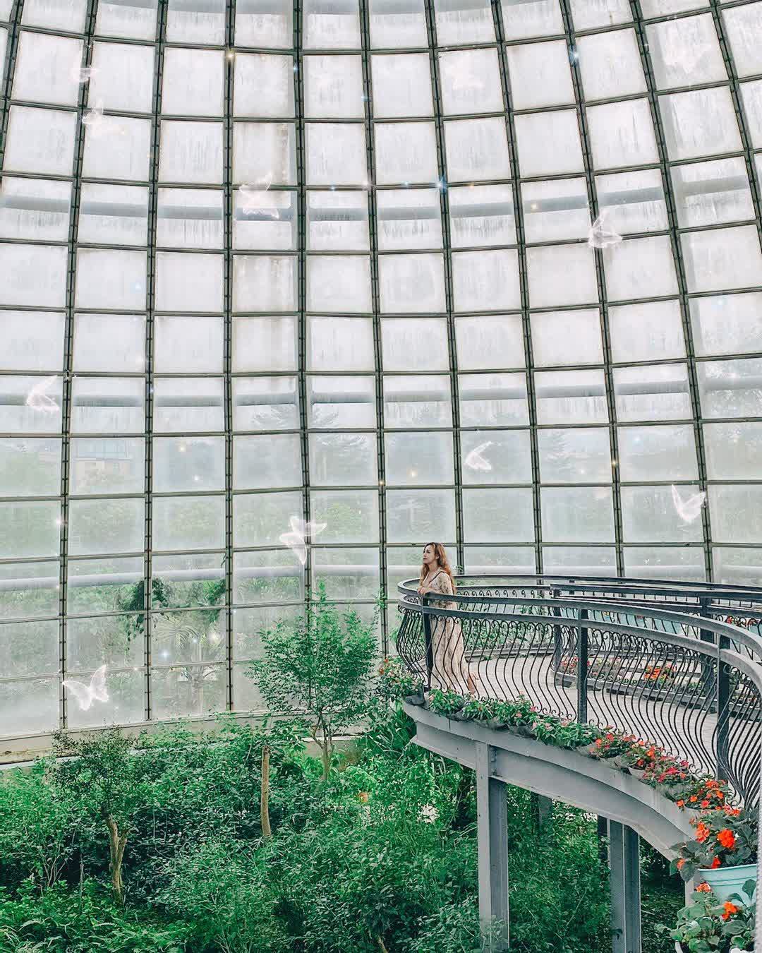 嘉大昆蟲館 | 去趣 chicTrip